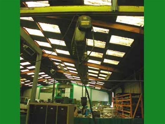 Demag Hoist 250 kg