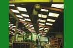 Demag Hoist 250 kg