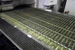LVD Omega 30 Ton CNC