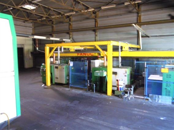 Fanuc Manipulation robot