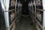 Pladrest Infrared Oven + monorail 3000 mm