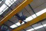 Demag DH 8 ton + 8 ton x 8300 mm