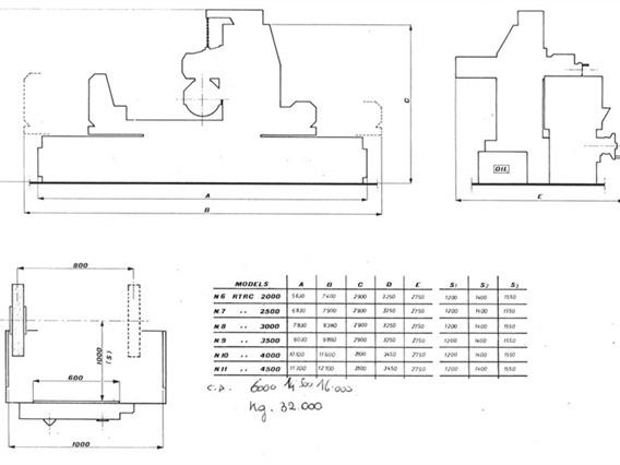 Rosa 6200 mm